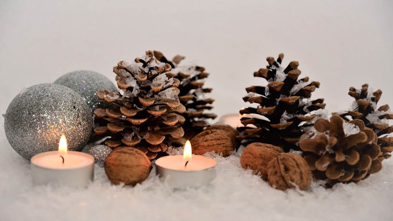 Soggetti natalizi pigne