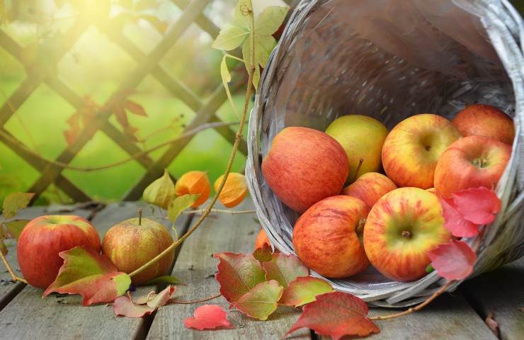 Cesto di mele simbolo di salute