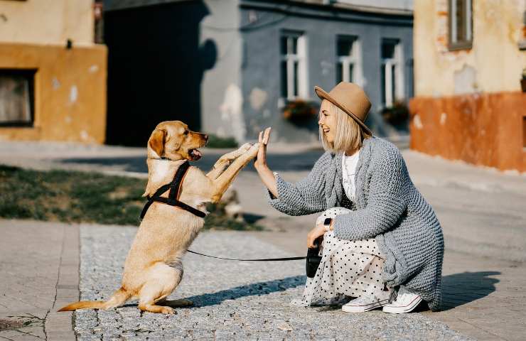 Diritti degli animali, la difesa spetta a noi