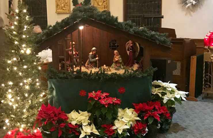 Stella di Natale al presepe