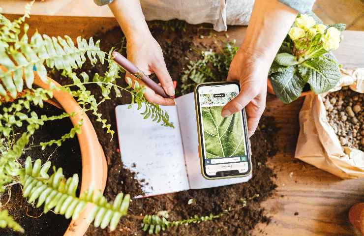 Tecnologia in aiuto dell'ambiente