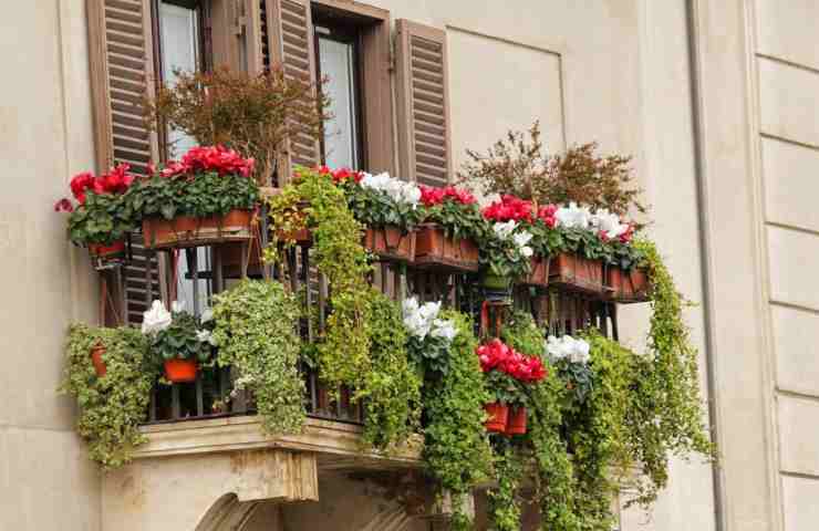 Terrazza con fiori