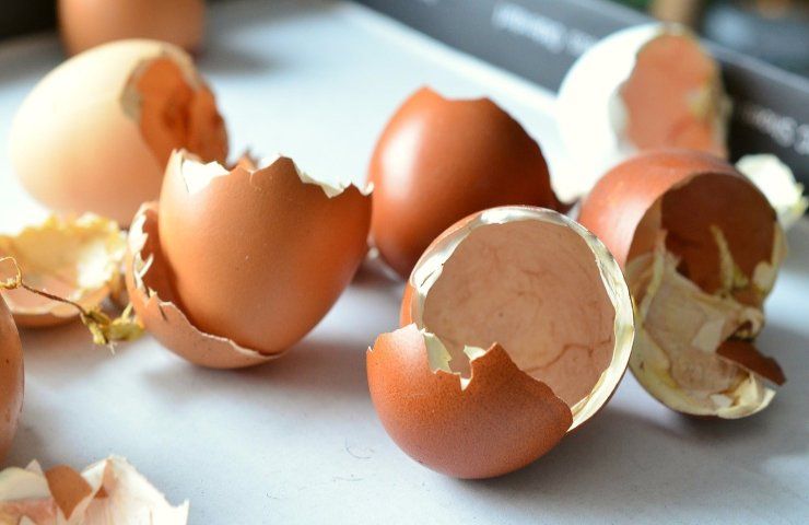 I metodi intelligenti per riciclare i gusci delle uova