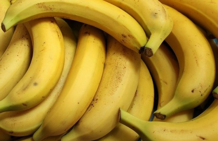 Bucce di banane per piante 