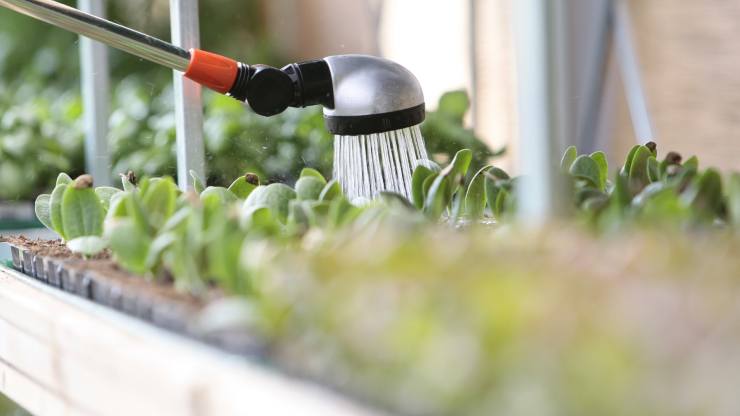 irrigatore per piante