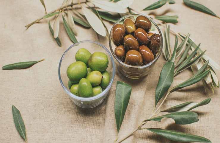 olive 