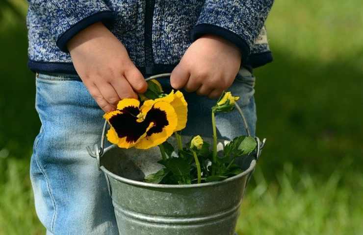 giardinaggio per bambini 