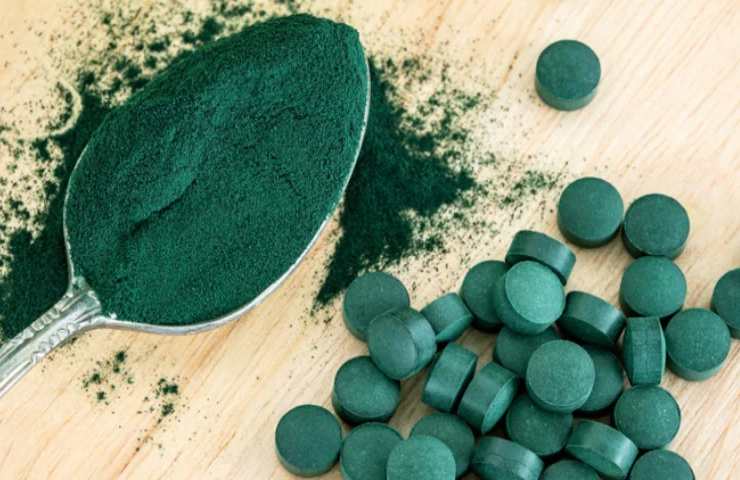 Spirulina (foto dal web)