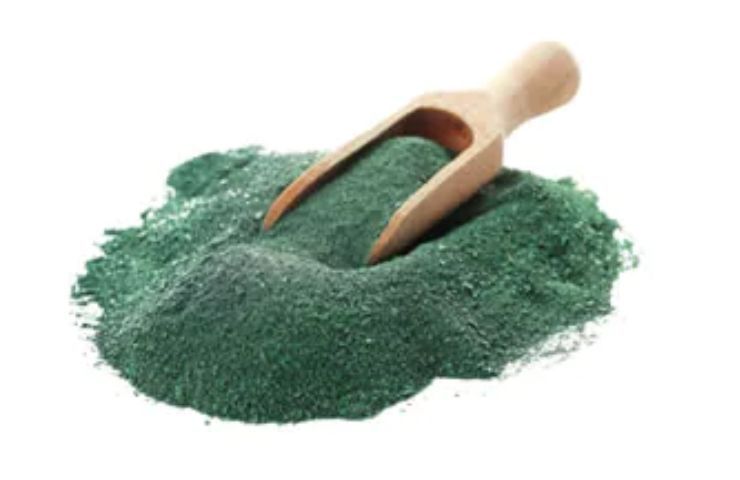 Spirulina (foto dal web)