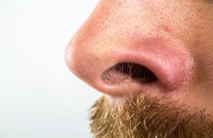 Le fasi alternate di respiro delle cavità nasali