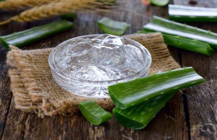 Gel di aloe 