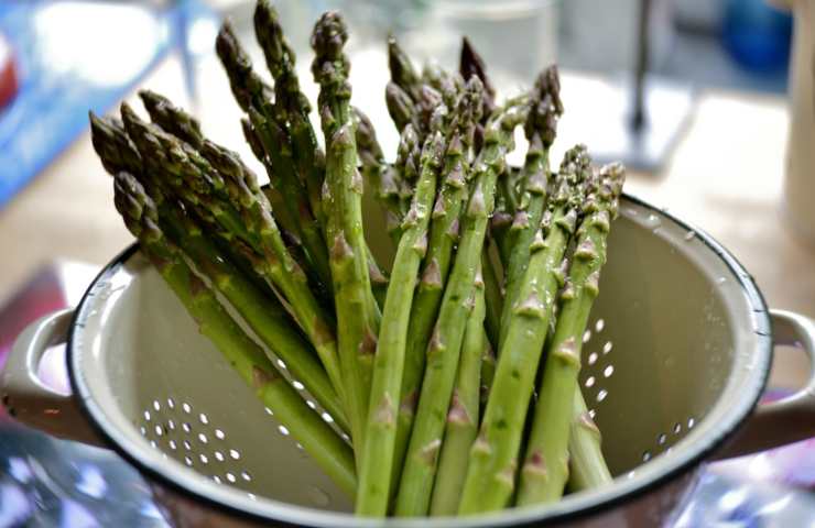 Asparagus officinalis