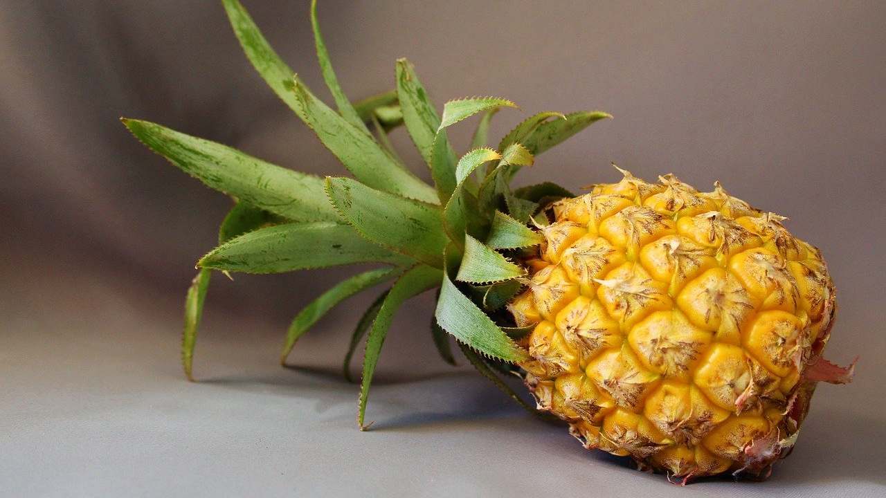 Coltivare l'ananas in casa è molto semplice