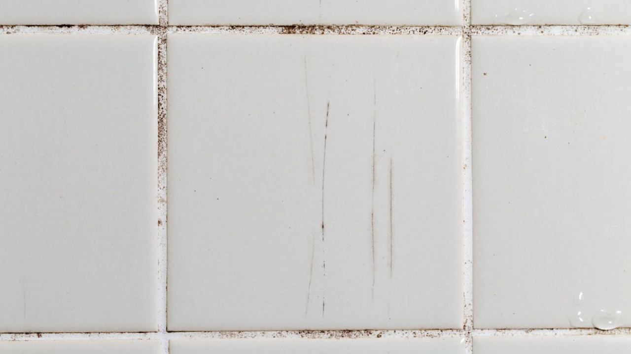 Fughe della doccia sporche