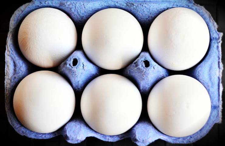 Nasce un nuovo modo per riciclare le confezioni delle uova