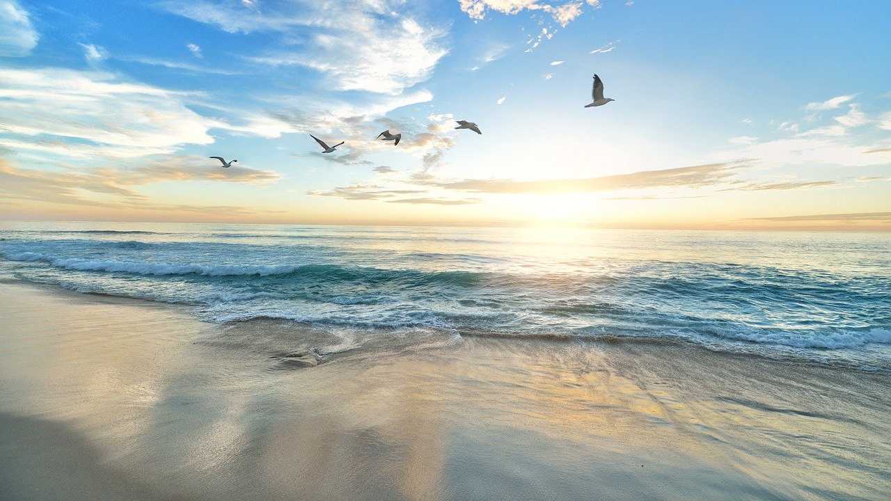 Profumi che evocano gli odori del mare