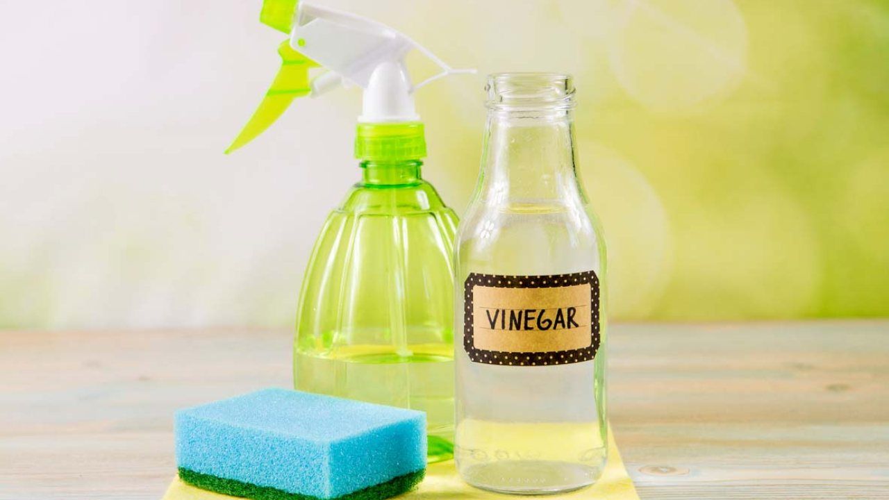 Aceto bianco (Foto dal web)