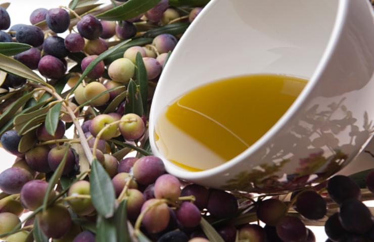Olio d’oliva (pixabay)