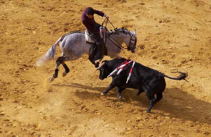 Corrida abolita