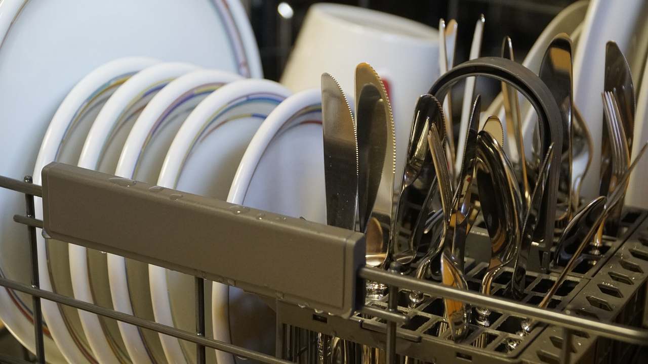 Lavastoviglie puzza d'uovo