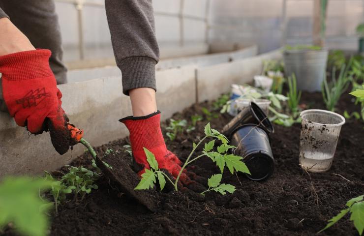 Metodi alternativi di giardinaggio