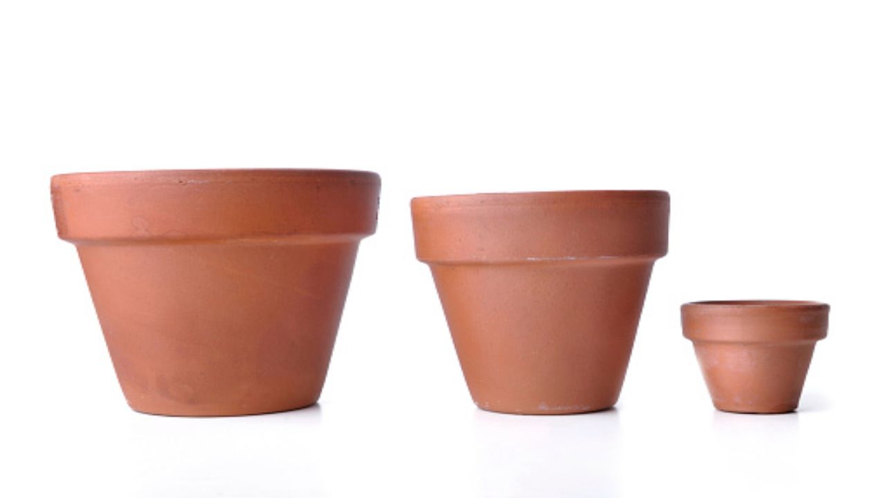 Pulire i vasi di terracotta (pixabay)