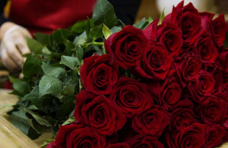 mazzo di rose rosse