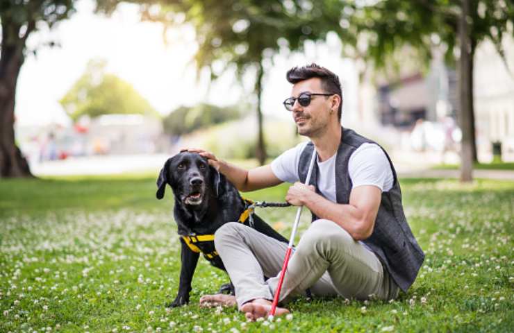 persona non vedente insieme al suo cane guida (pixabay)