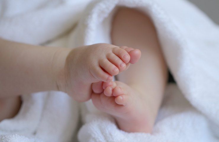 Cura del neonato (Pixabay)