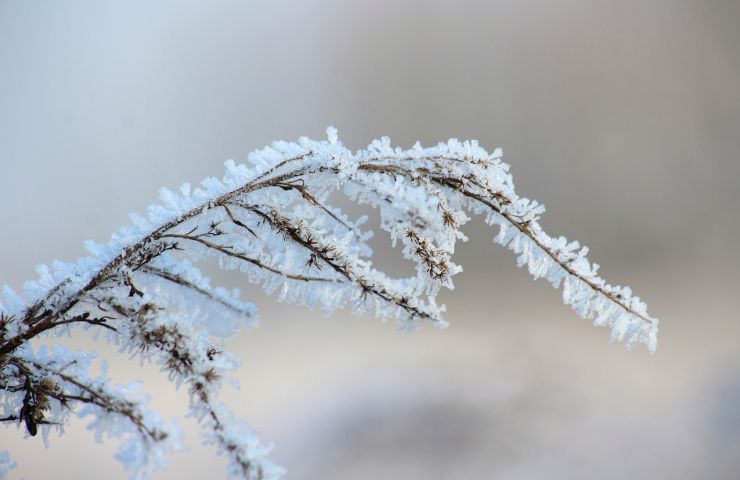 Inverno (Pixabay)
