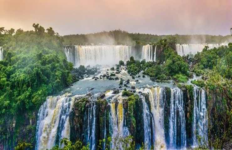 foresta fluviale 