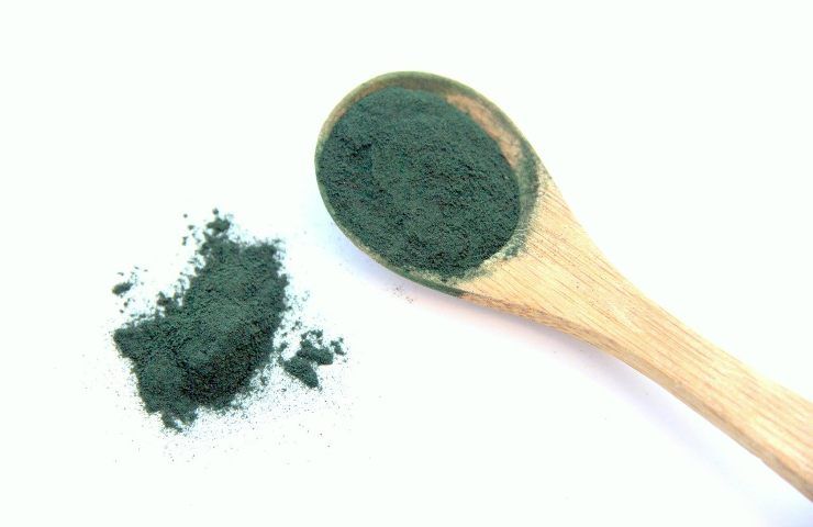 Le controindicazioni della spirulina