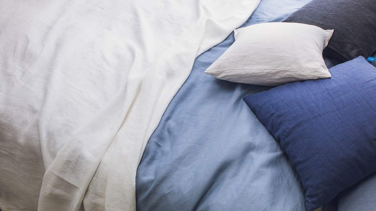 How often do you change the sheets on the bed?  The science was so clear