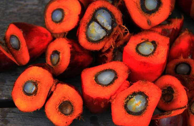 Olio di palma frutto arancione