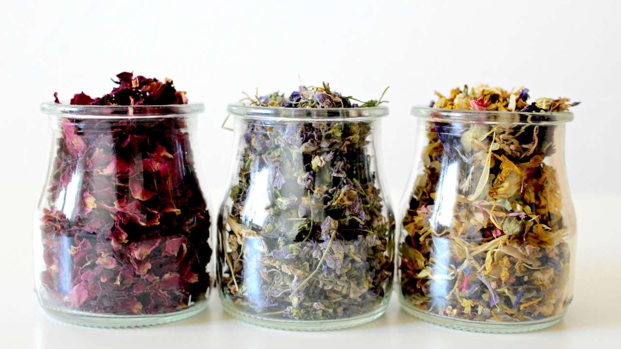 Pot Pourri