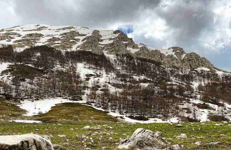 Montagna riserva naturale