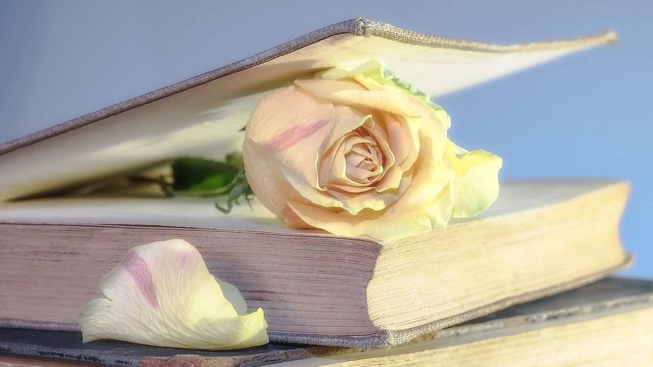 Appoggiamo inavvertitamente il libro e questo cade in acqua oppure lo lasciamo sotto la pioggia