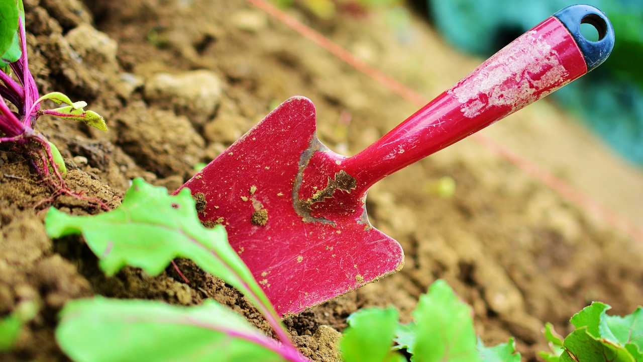 Attrezzatura giardino essenziale