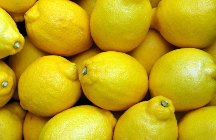 Limoni, che benefici hanno? (Pixabay)