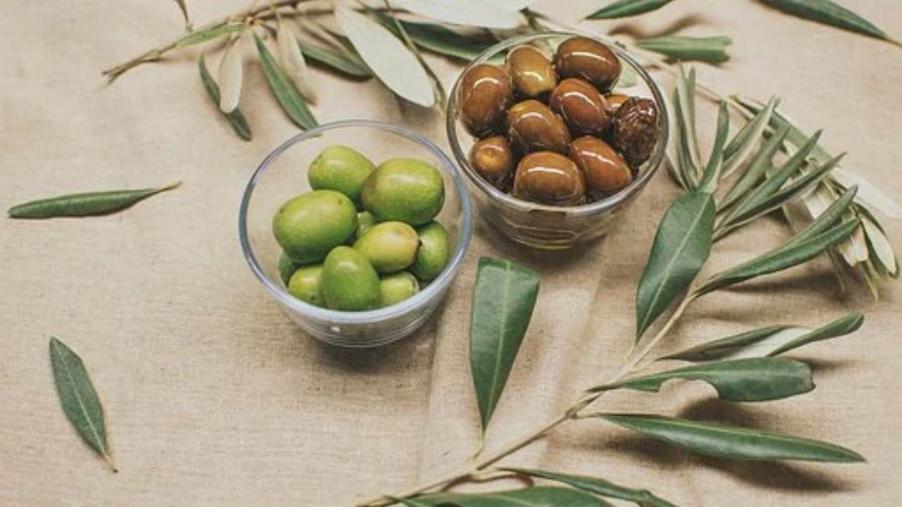 olive verdi marroni olivo nocciolo