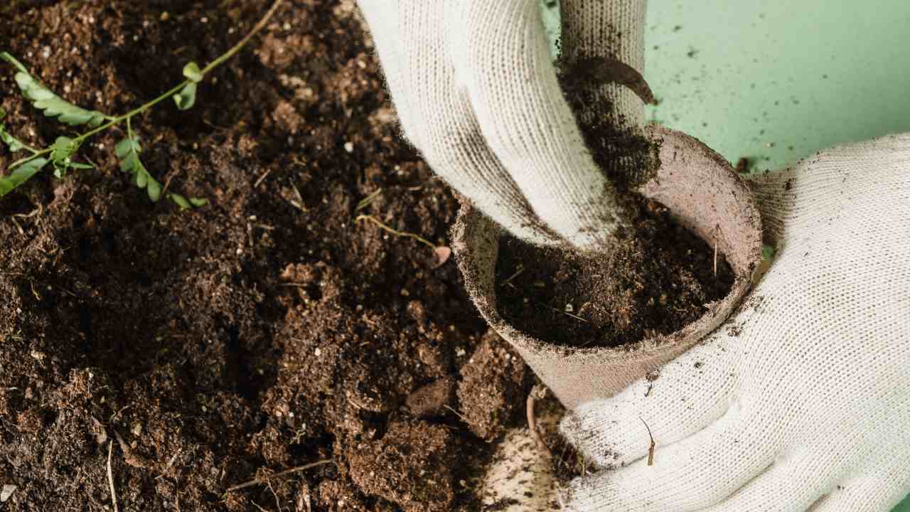 7 concimi naturali ricette