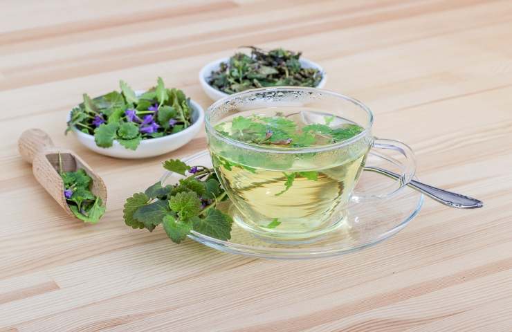 Erbe aromatiche tè quali coltivare 