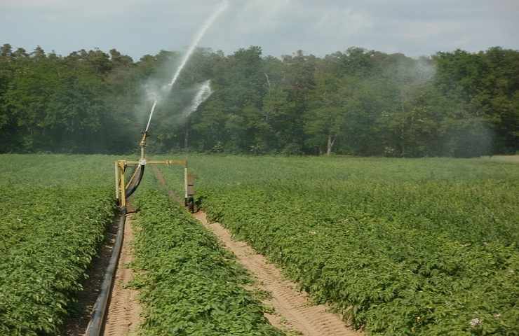 Irrigazione agricoltura sostenibile
