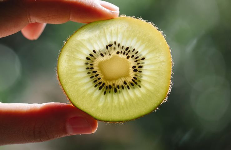 Frutto kiwi