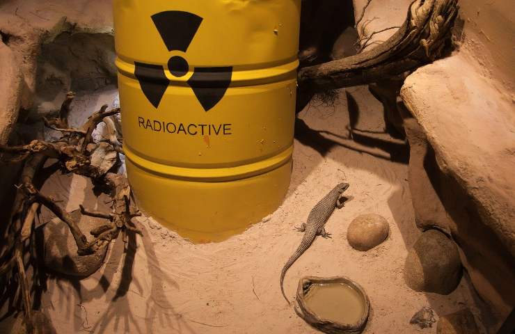 territori idonei raccolta rifiuti radioattivi