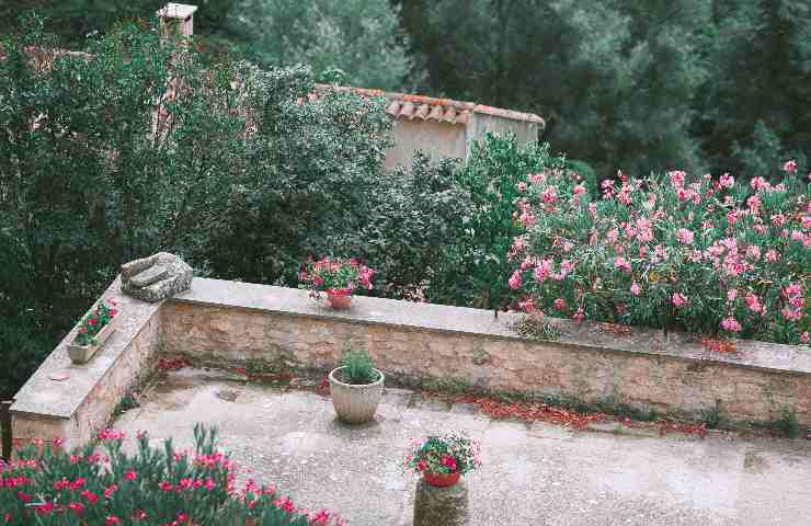 Bonus giardino terrazzo fiorito