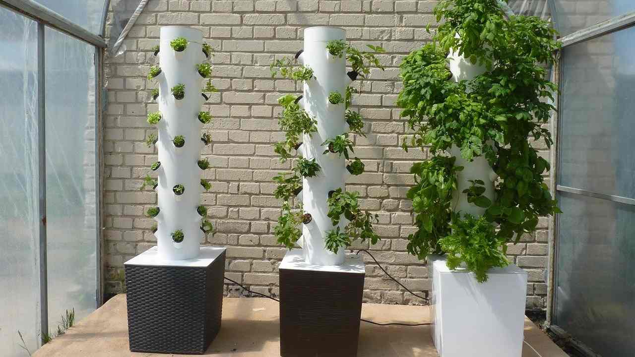 giardino verticale verde