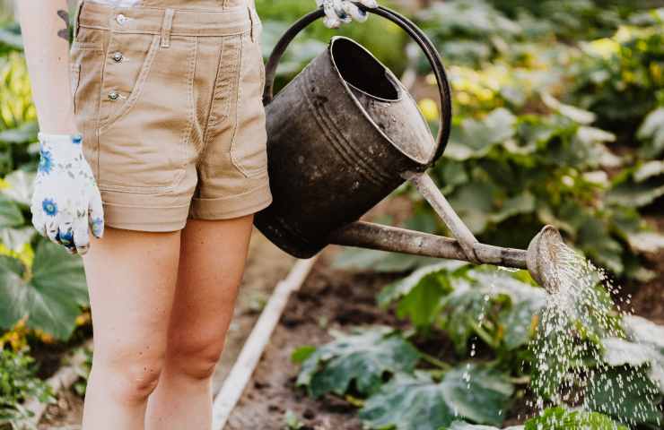 bonus giardino comune