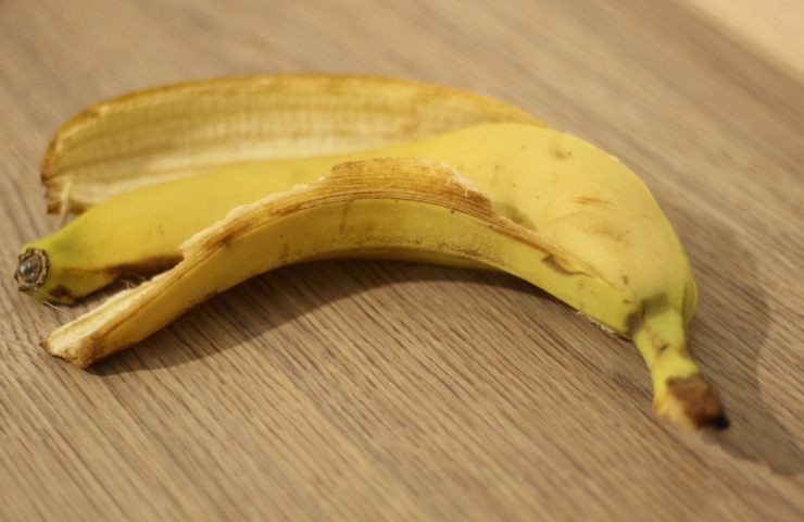 buccia banana rimedio gerani flosci 