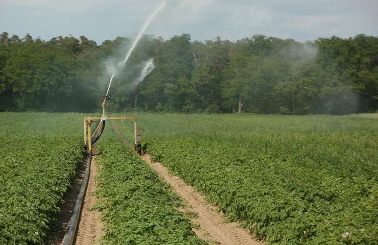 Onu rapporto acqua agricoltura
